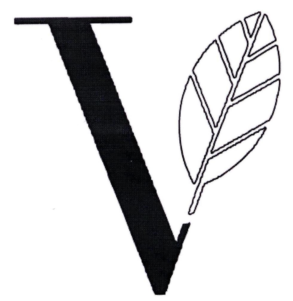V商标图片
